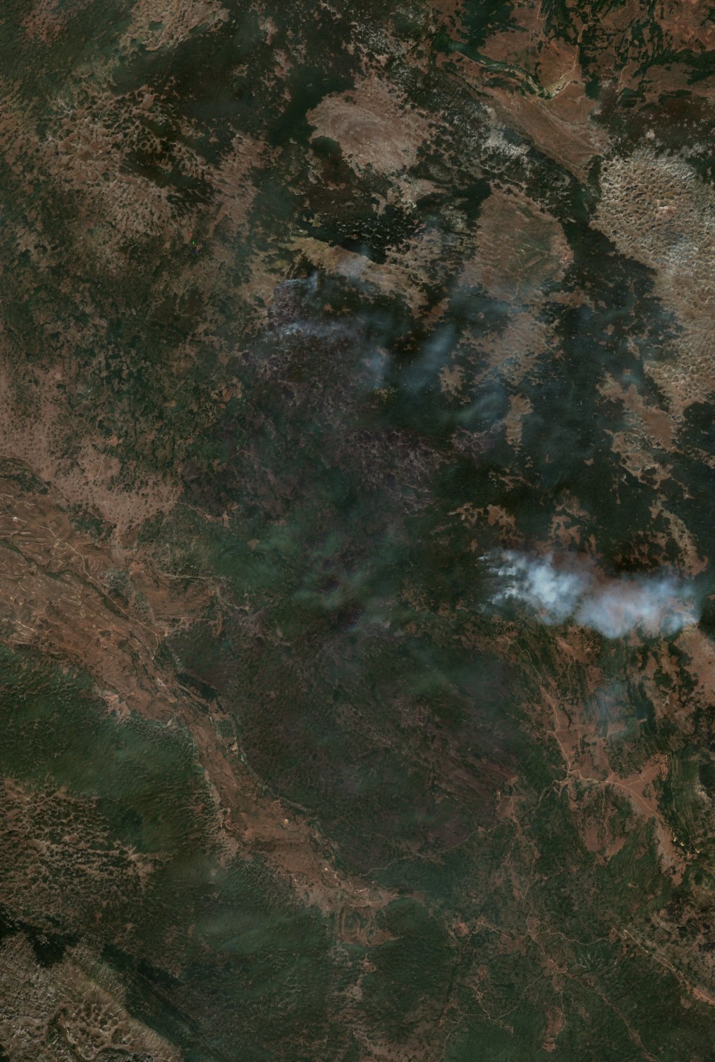 The area after the fire, September 5, 2026