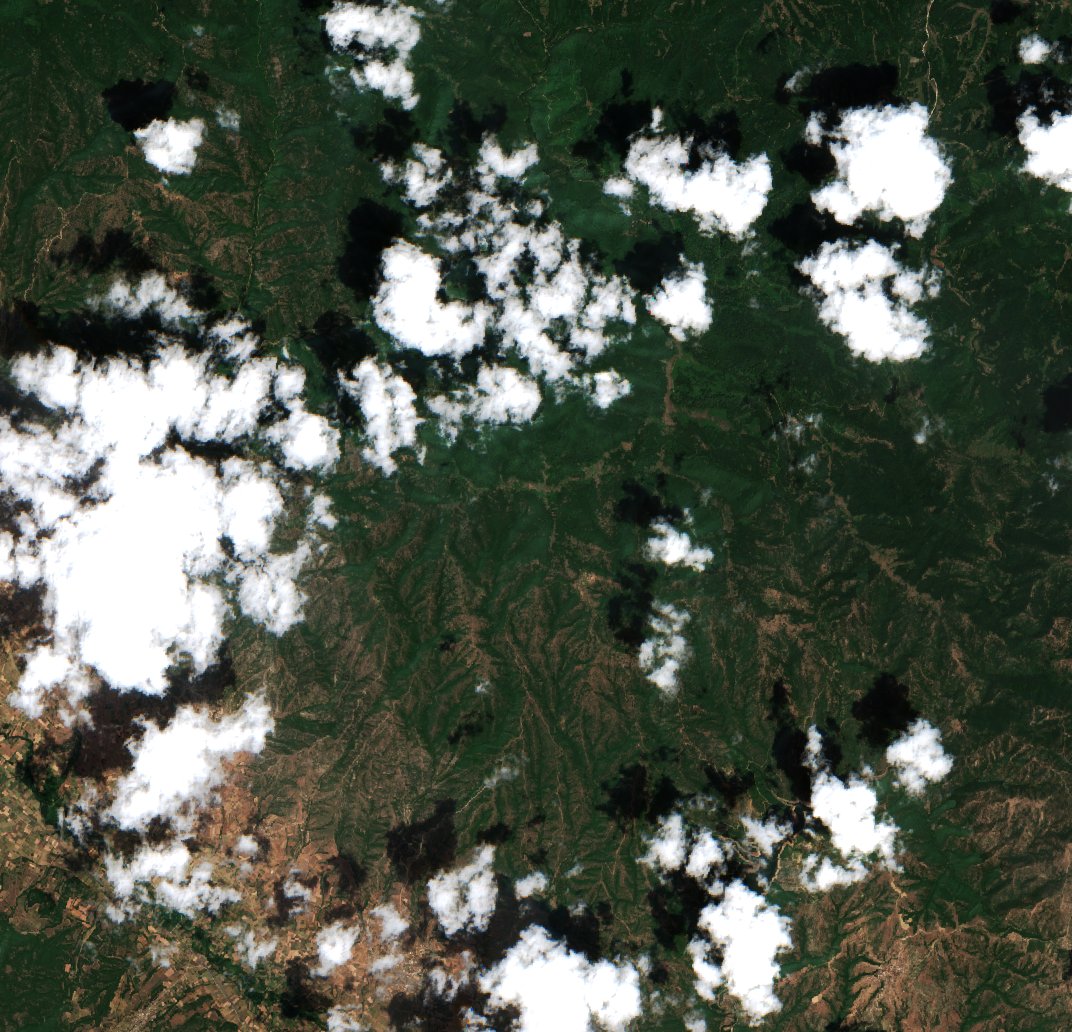 Sentinel-2 images