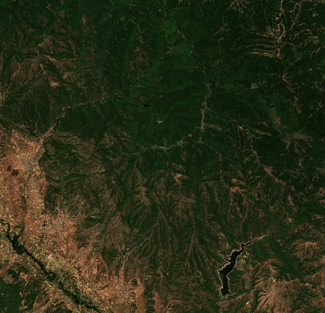 The area before the fire, July 8, 2025