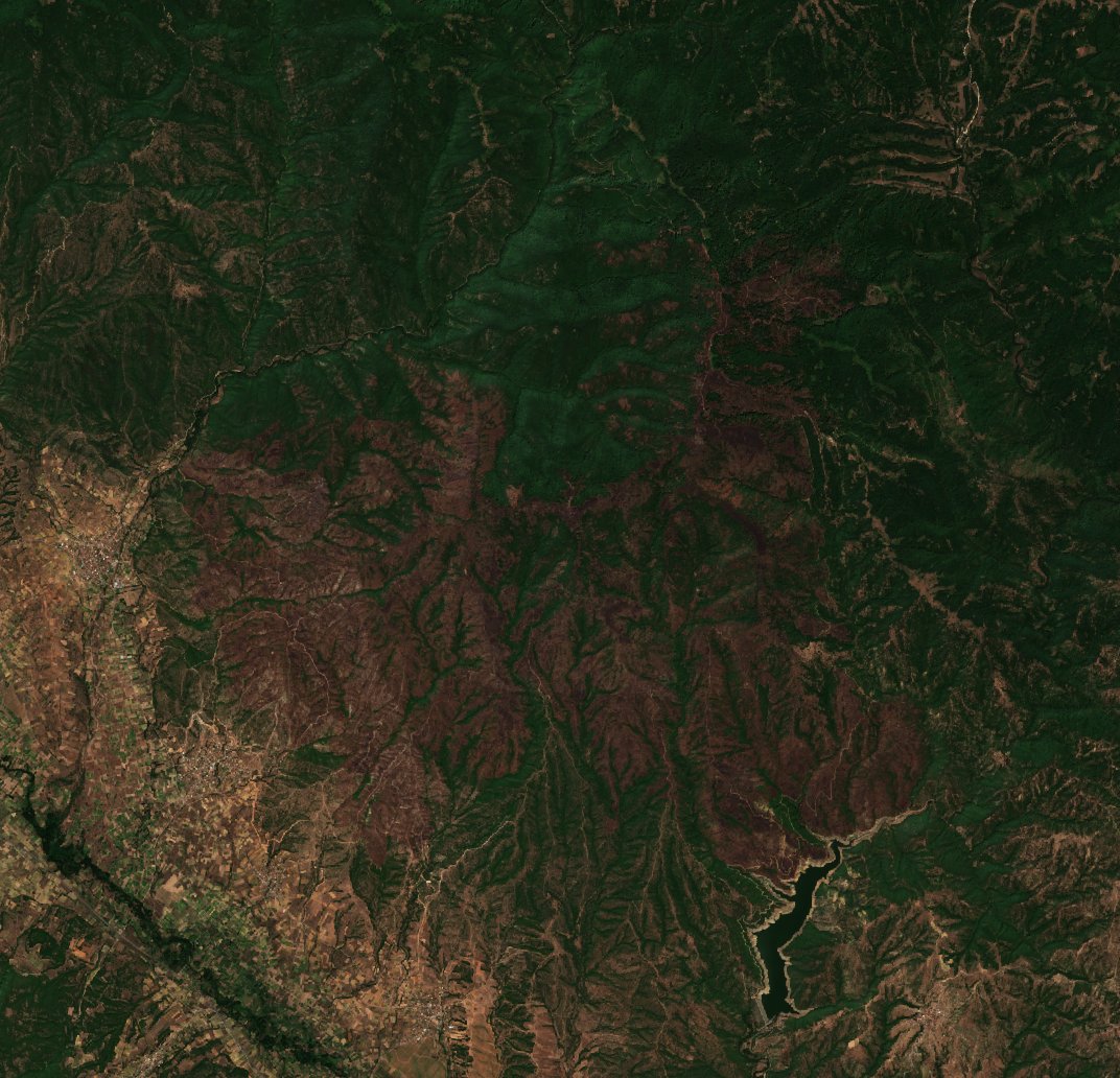 The area after the fire, August 10, 2025