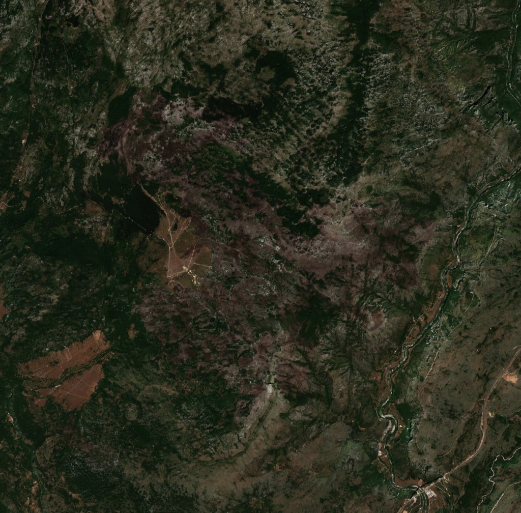 The area after the fire, August 11, 2024