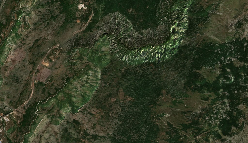 The area before the fire, August 13, 2026