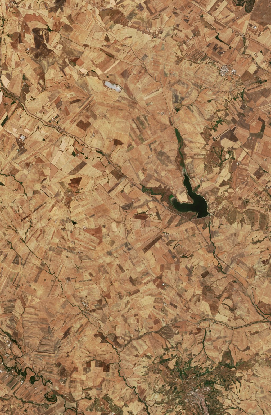 Sentinel-2 images