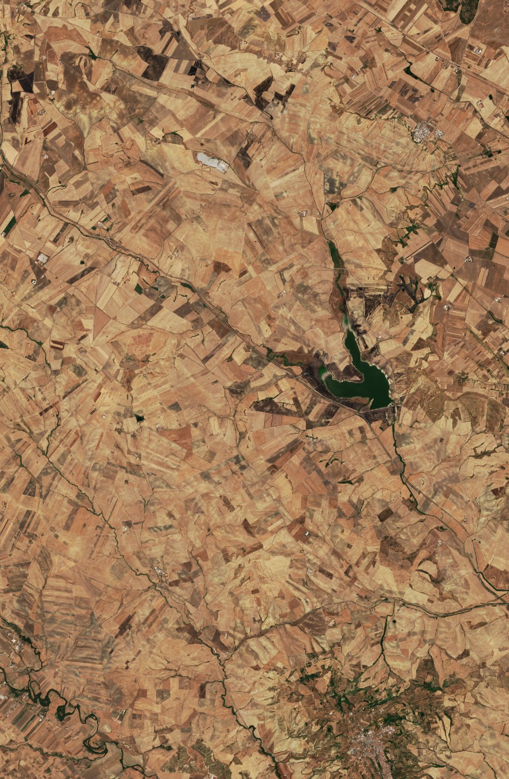 The area before the fire, August 8, 2026