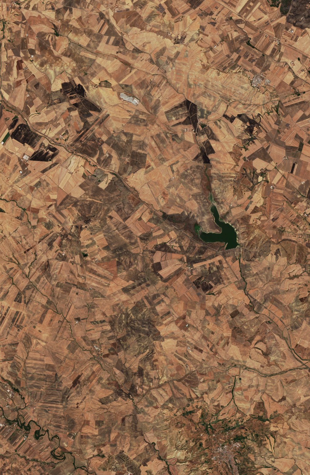 The area after the fire, September 10, 2026