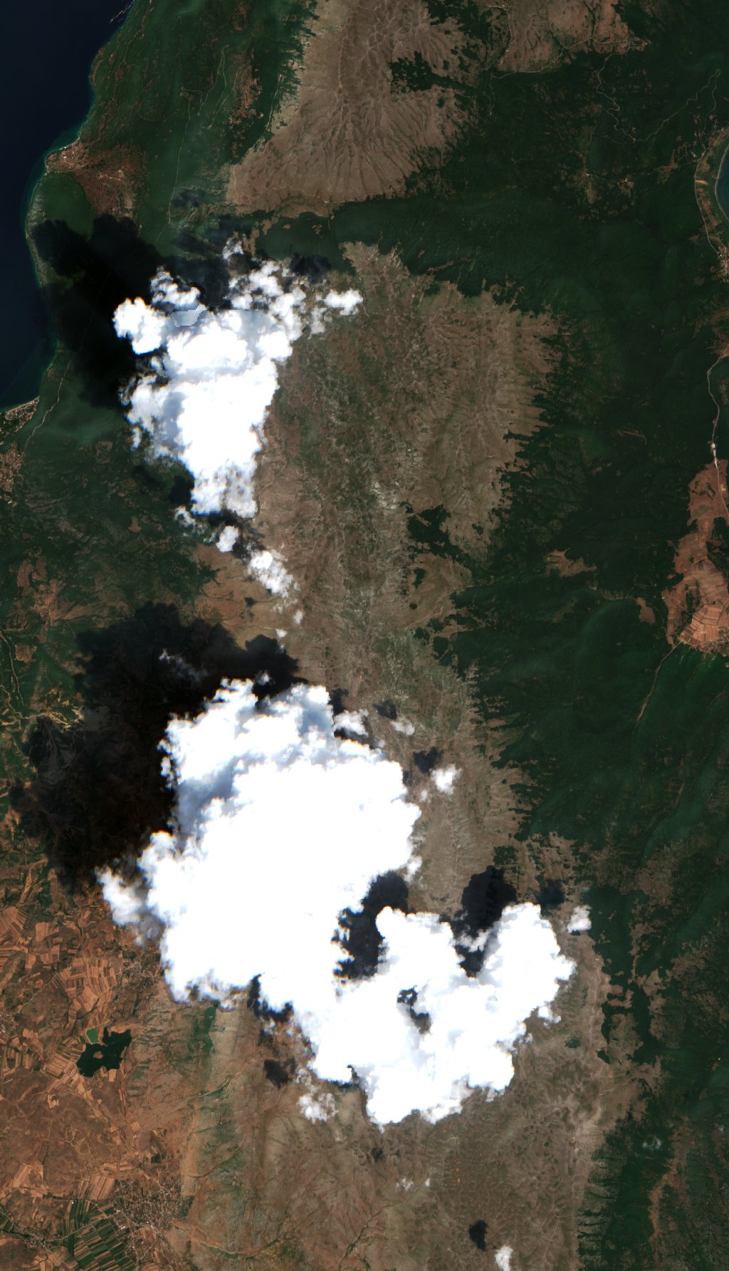 Sentinel-2 images