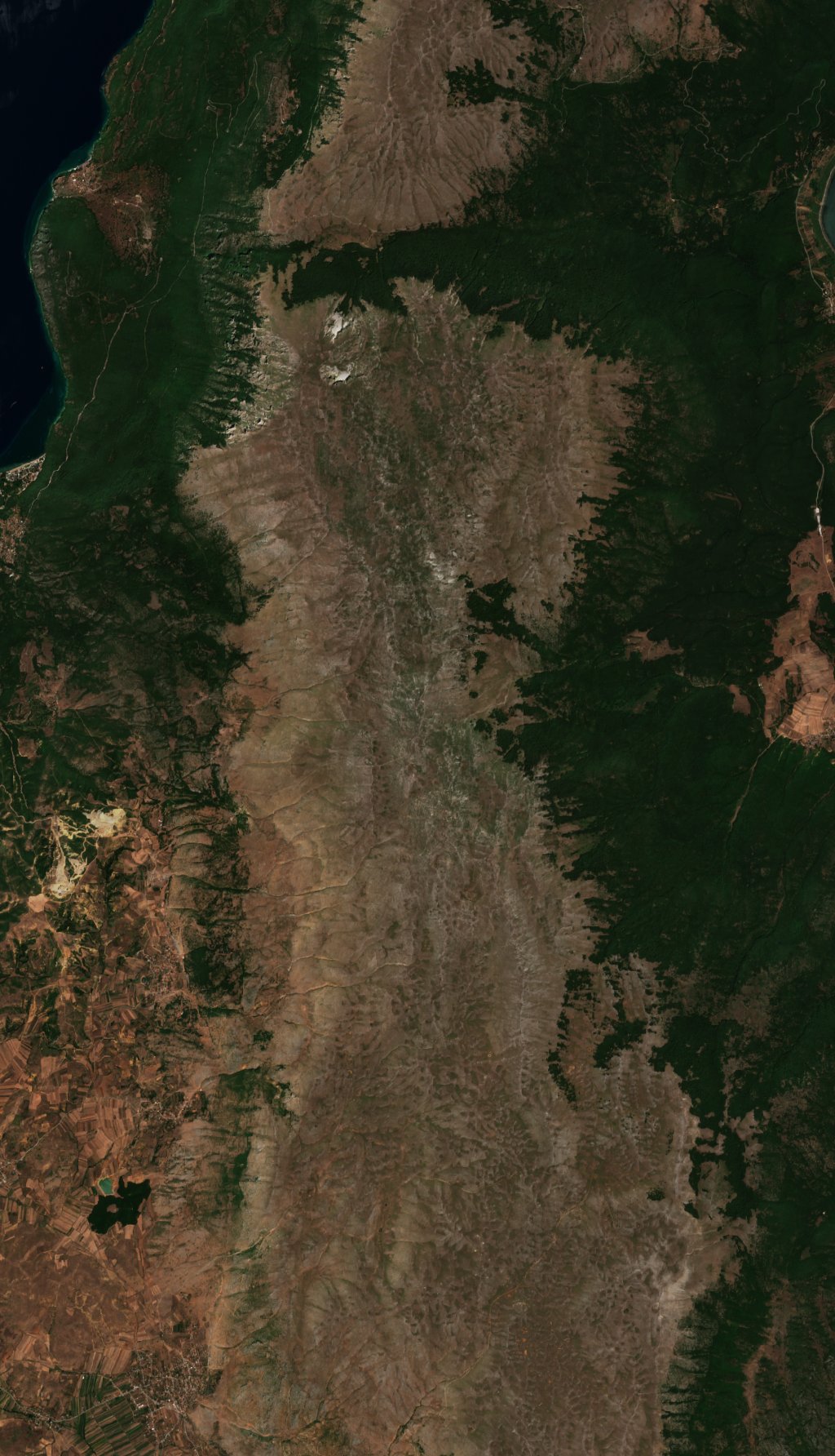 The area before the fire, July 29, 2024