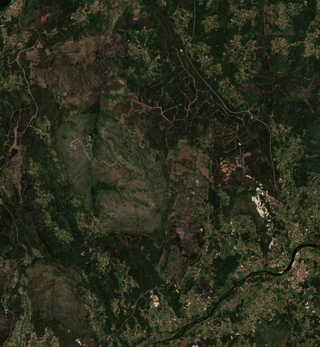 The area before the fire, July 9, 2016