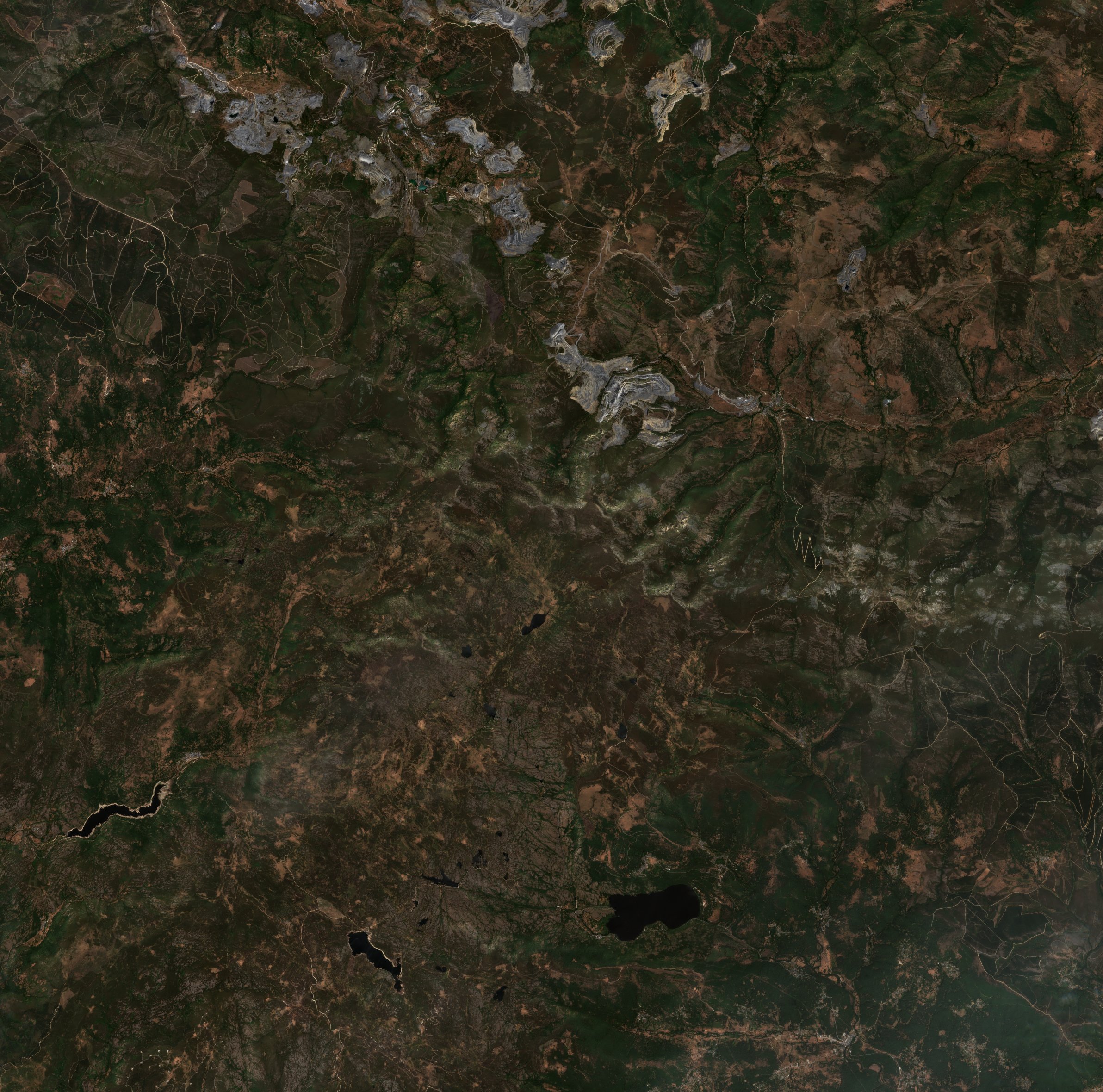 Sentinel-2 images