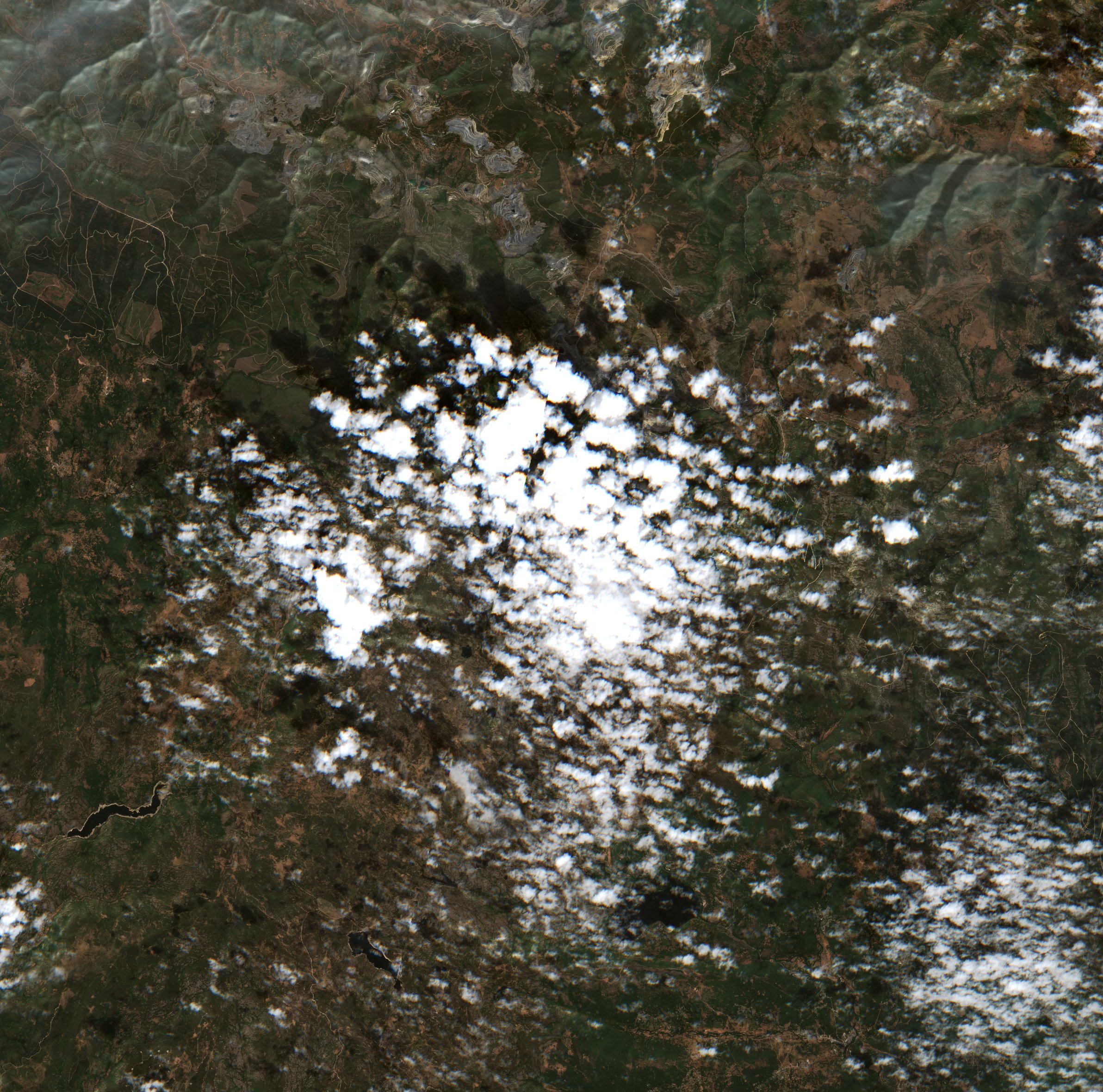 The area before the fire, August 11, 2025
