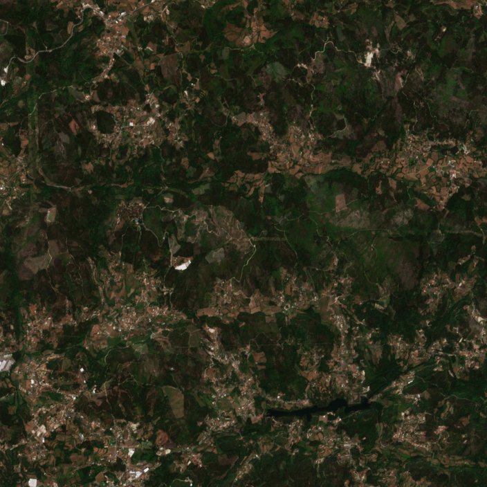 The area before the fire, July 29, 2026