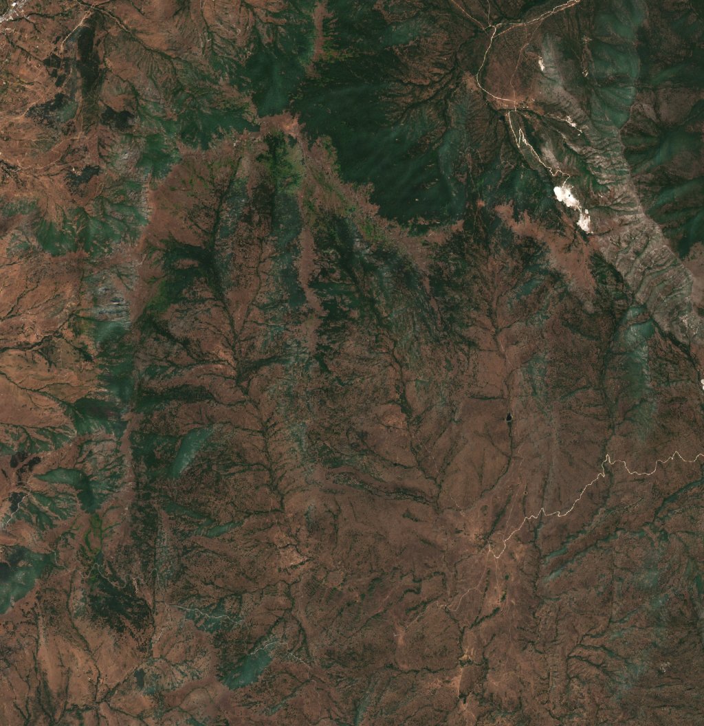 The area before the fire, August 15, 2024