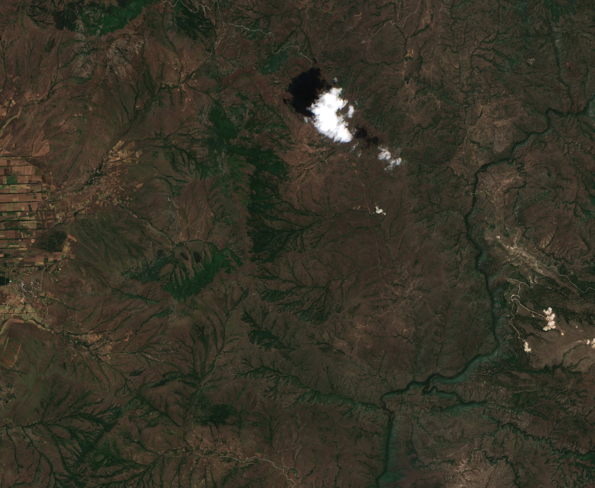 Sentinel-2 images