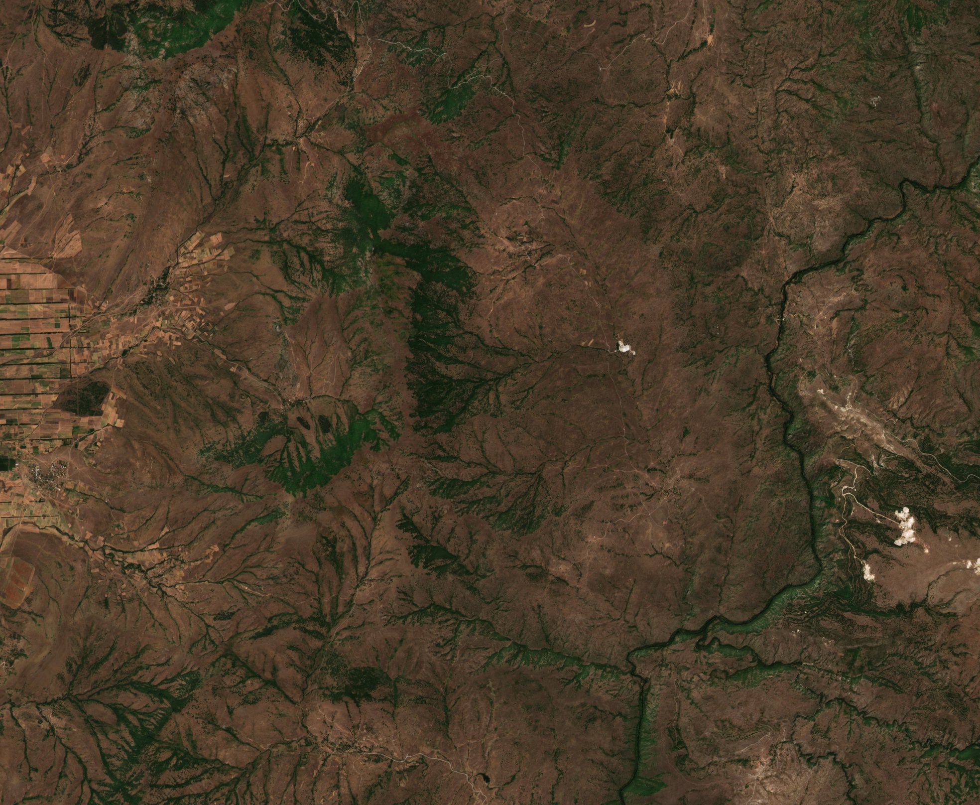 The area before the fire, August 12, 2026