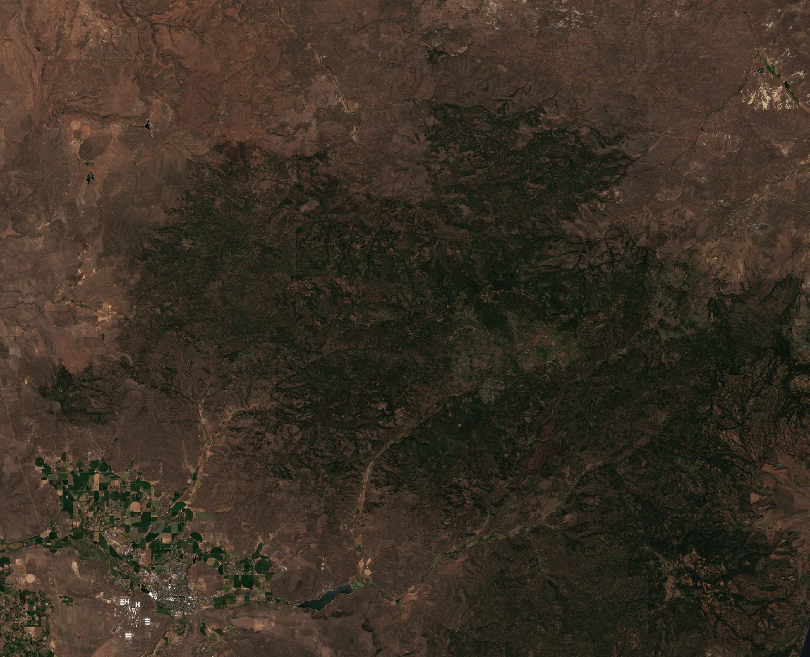 The area before the fire, July 10, 2026