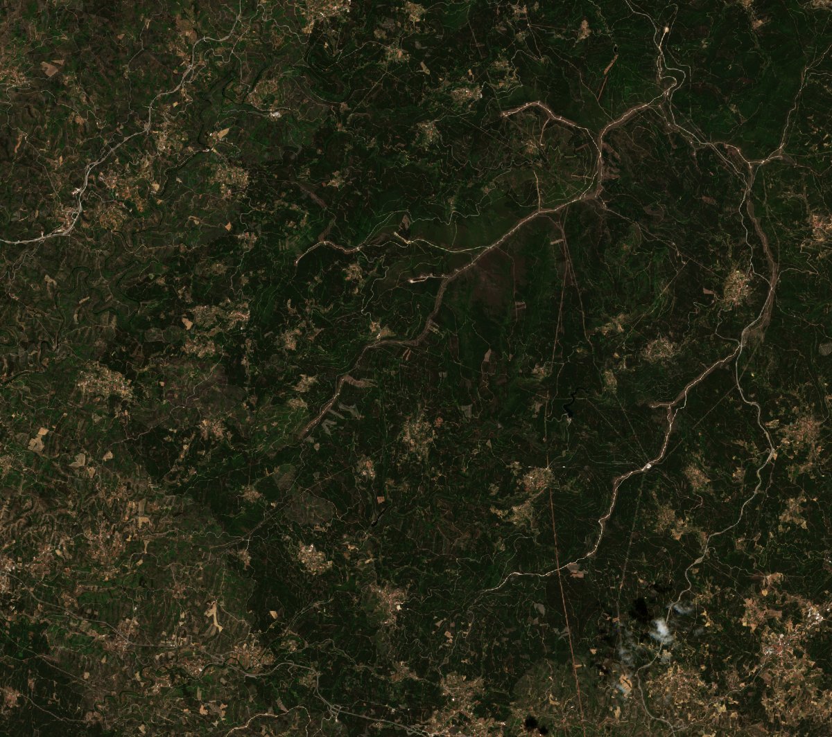 Sentinel-2 images