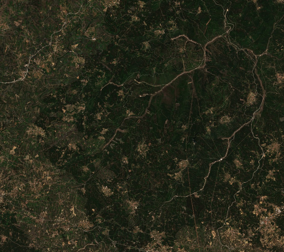The area before the fire, July 3, 2020