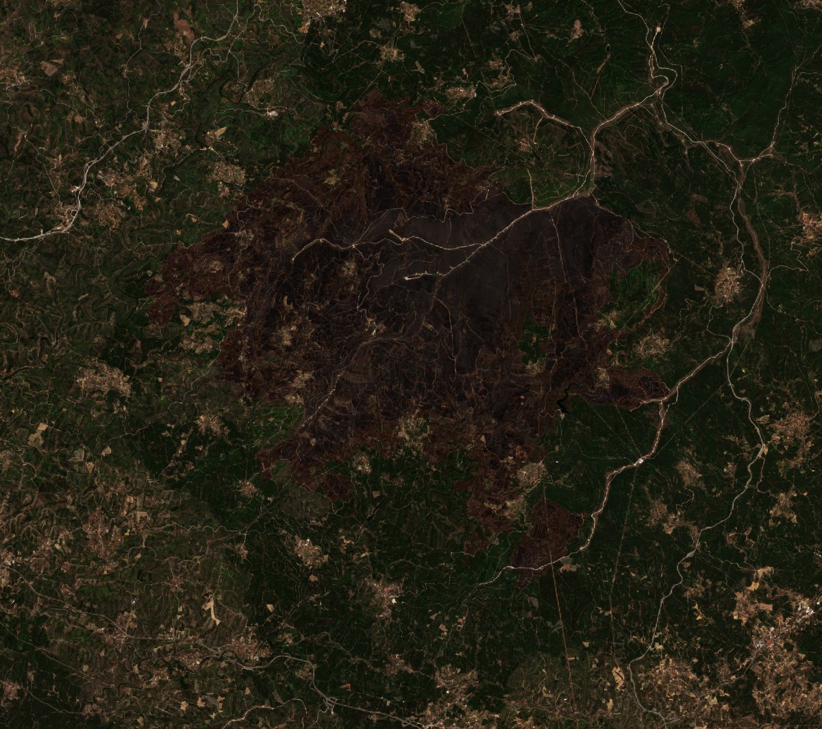 The area after the fire, August 22, 2020
