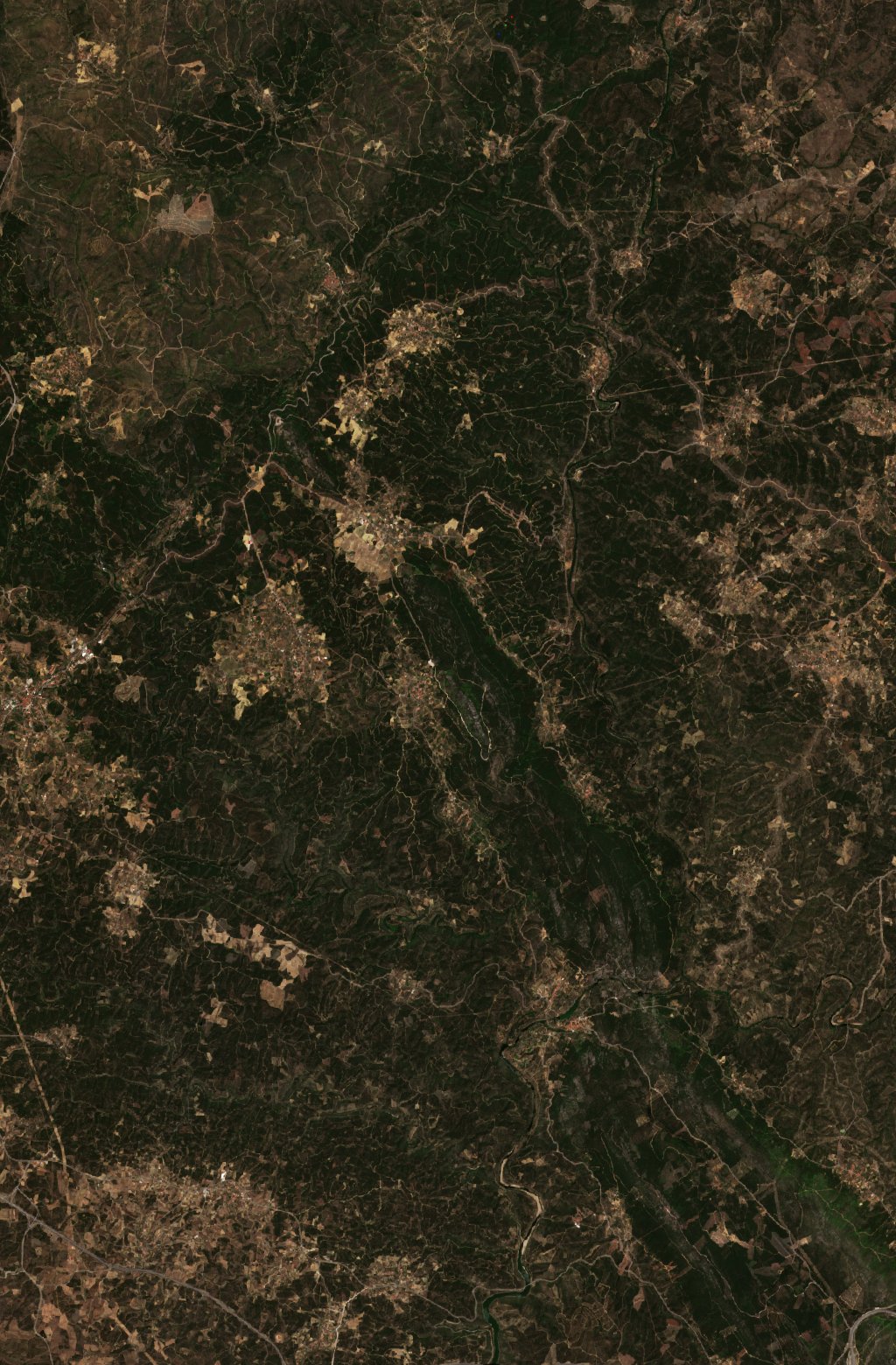Sentinel-2 images