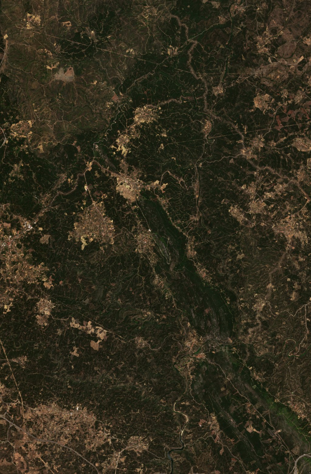 The area before the fire, July 23, 2023