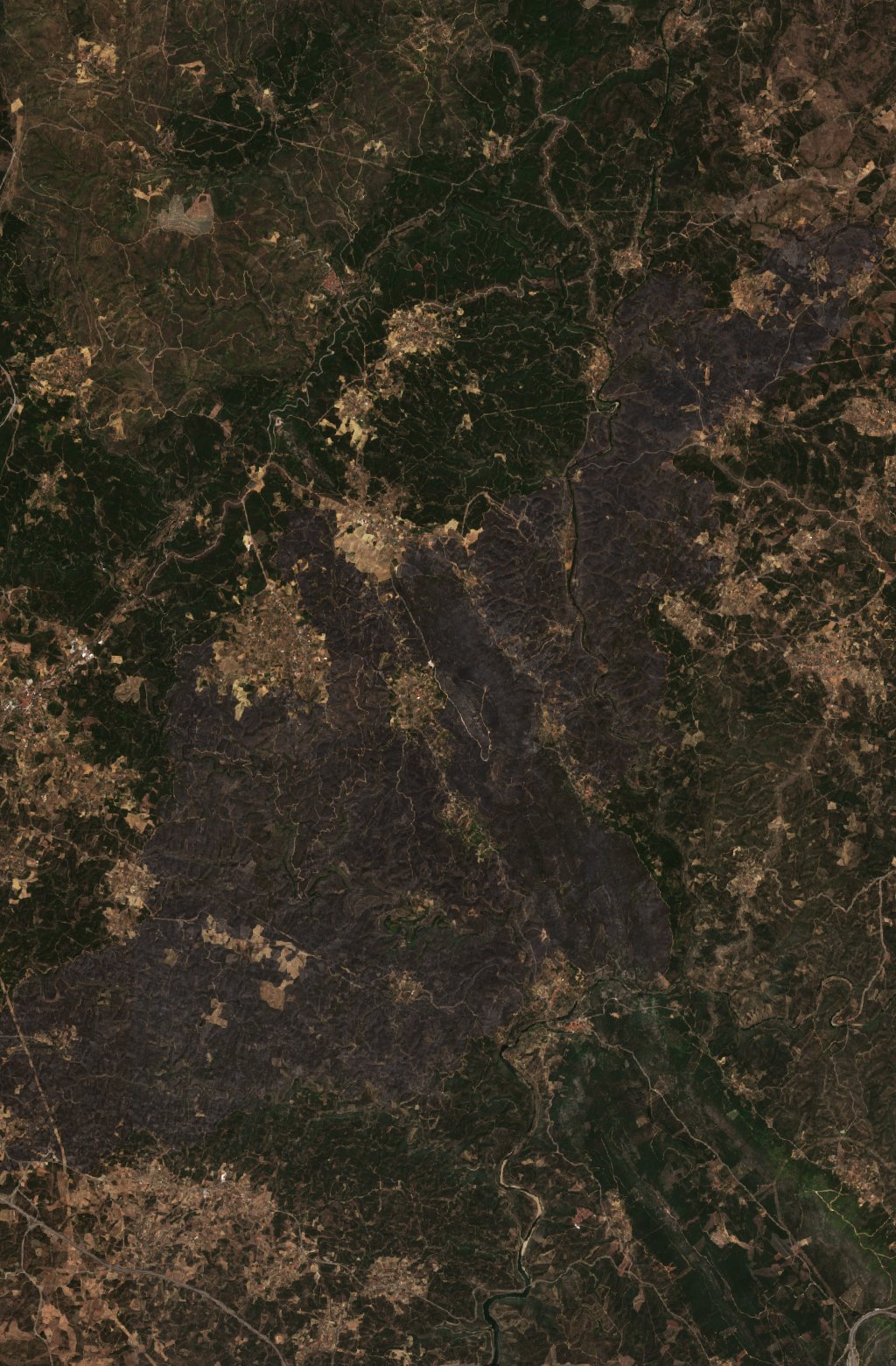 The area after the fire, August 7, 2023
