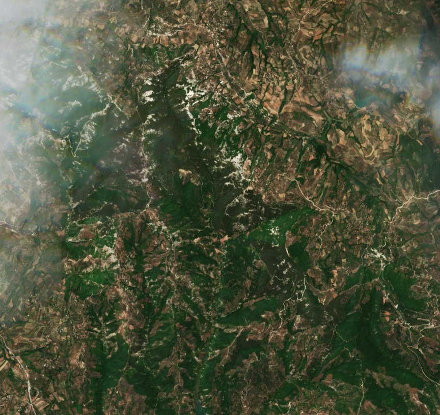 Sentinel-2 images