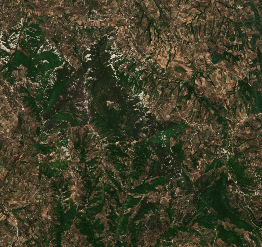 The area before the fire, July 19, 2026
