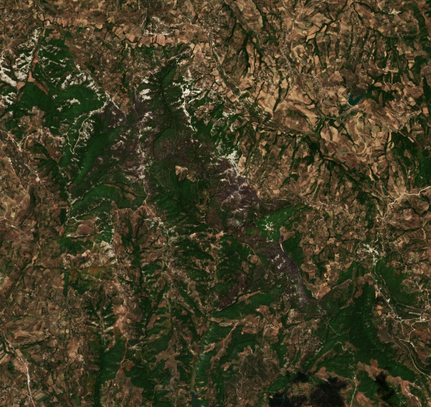 The area after the fire, August 15, 2026