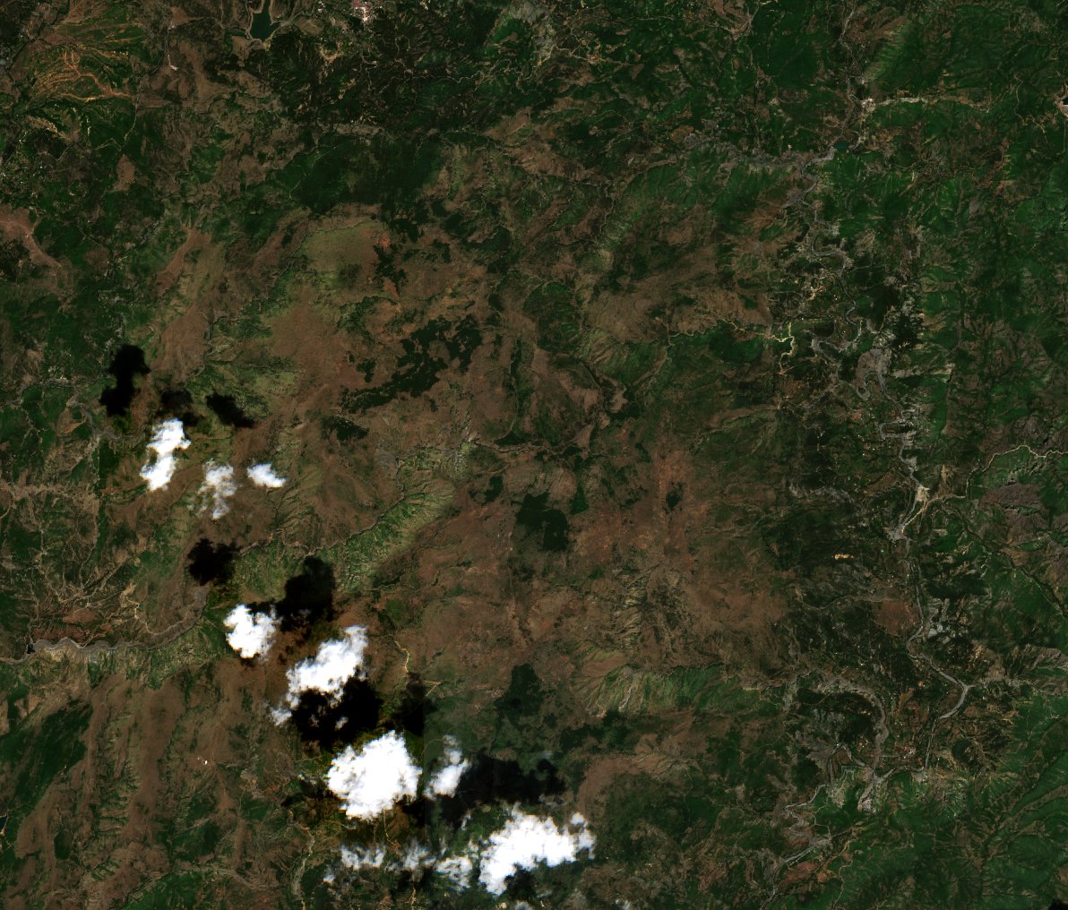 The area before the fire, August 3, 2026