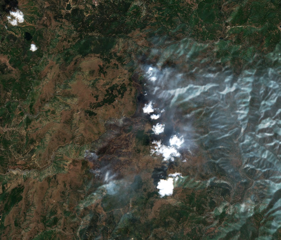 The area after the fire, August 18, 2026