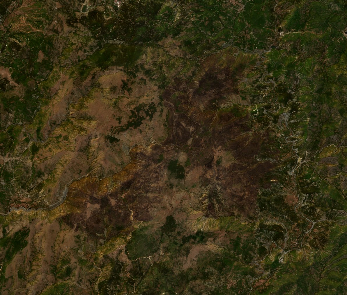 The area after the fire, August 28, 2026