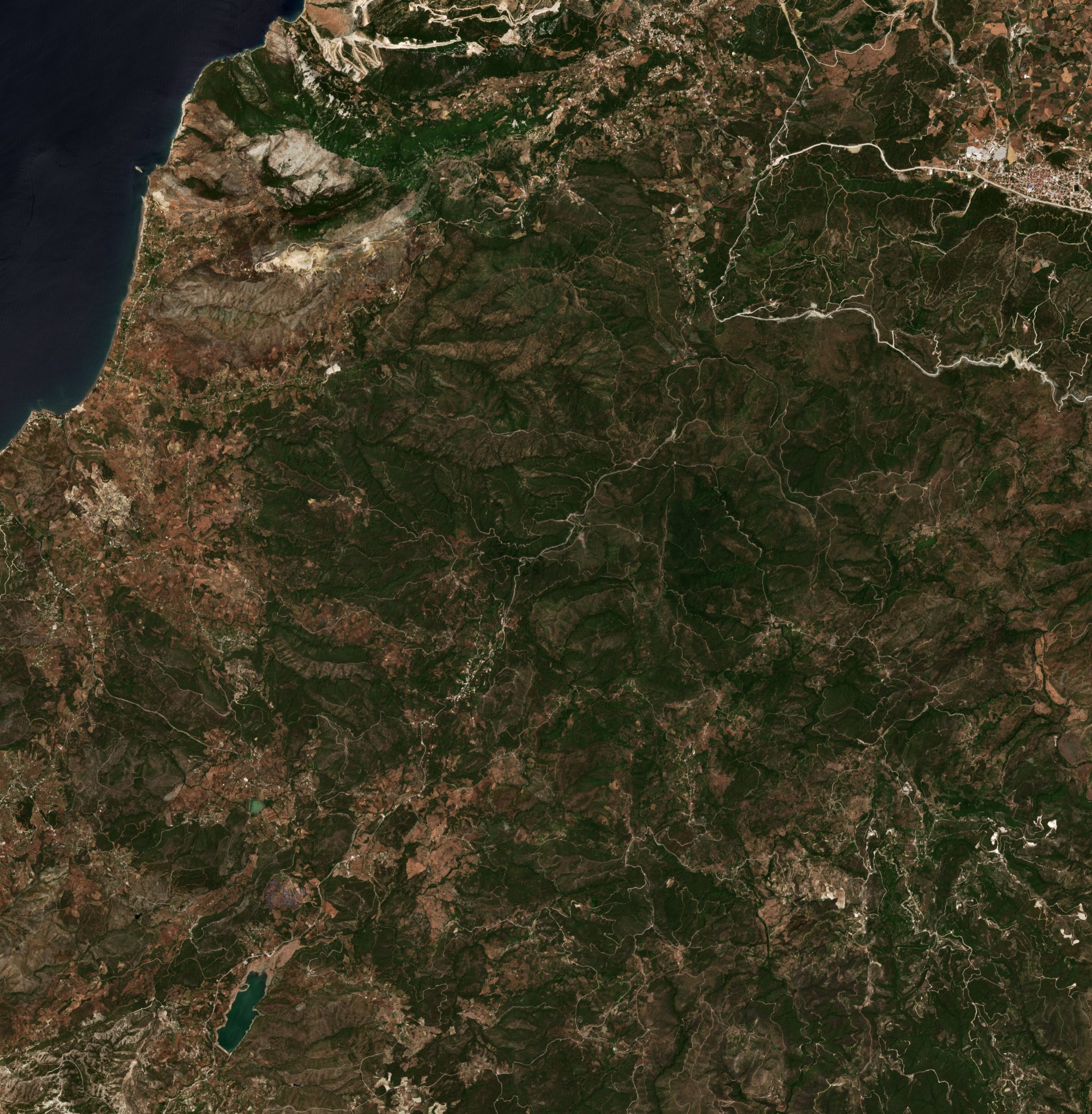 The area before the fire, June 28, 2025