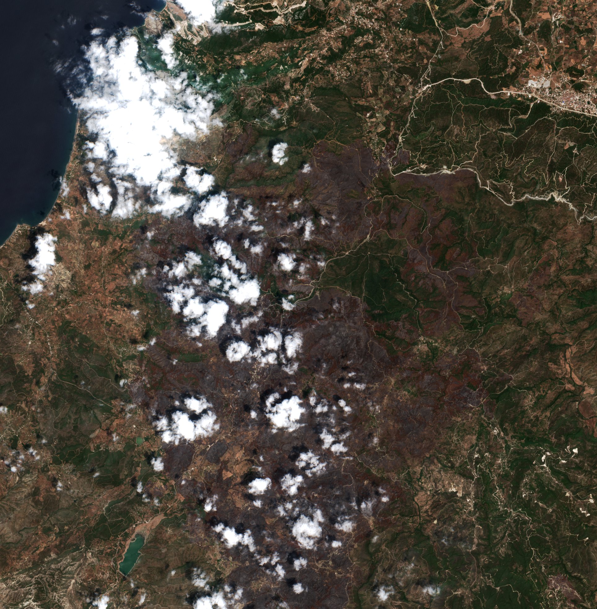 The area after the fire, July 23, 2025