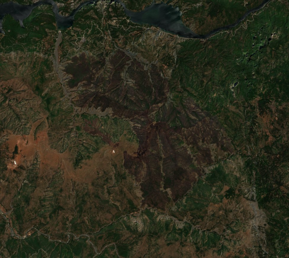 The area after the fire, August 11, 2024