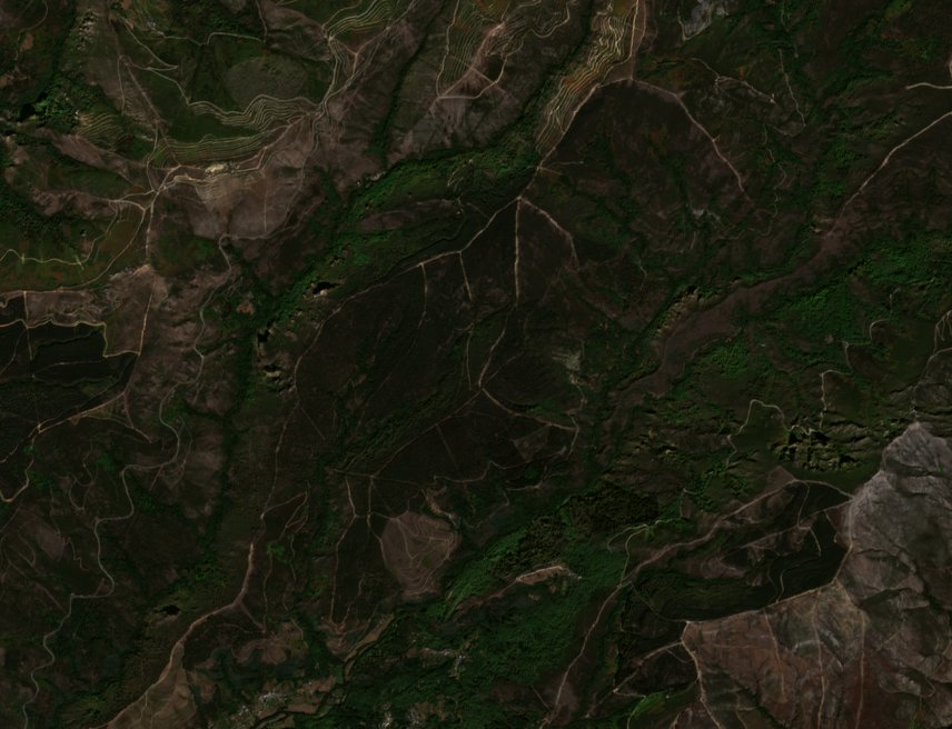 The area before the fire, September 7, 2026