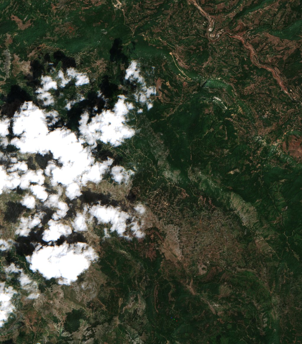 The area before the fire, July 29, 2026