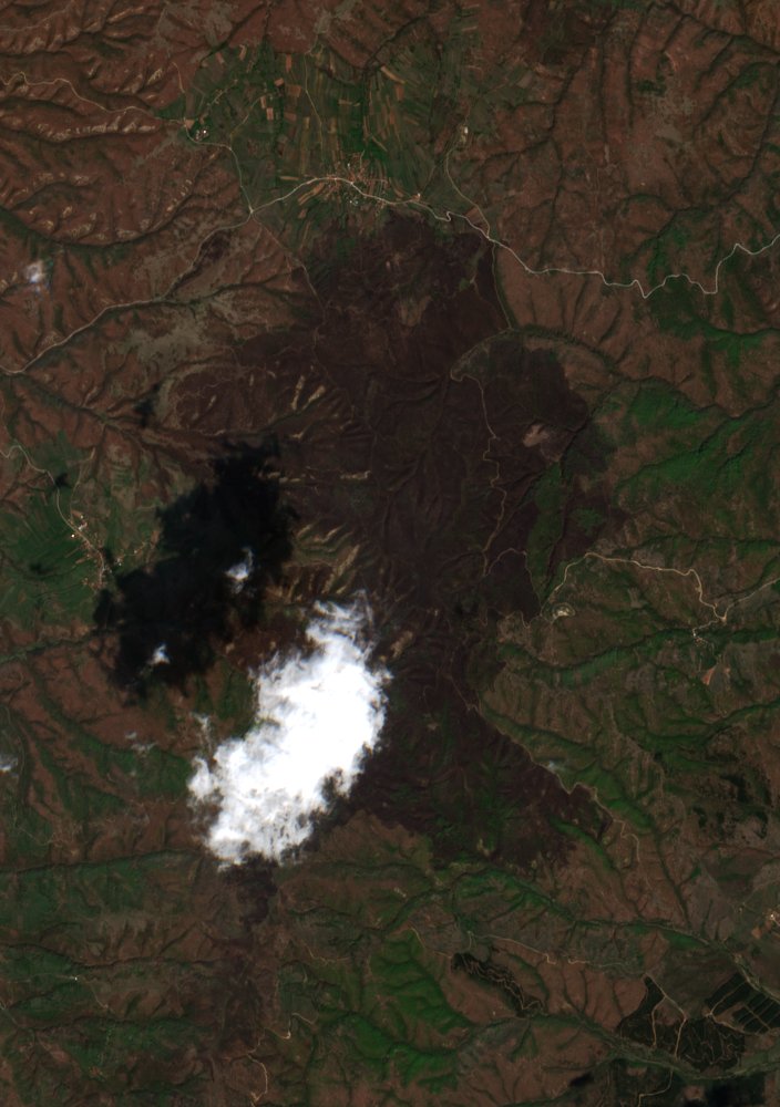 The area after the fire, April 17, 2019