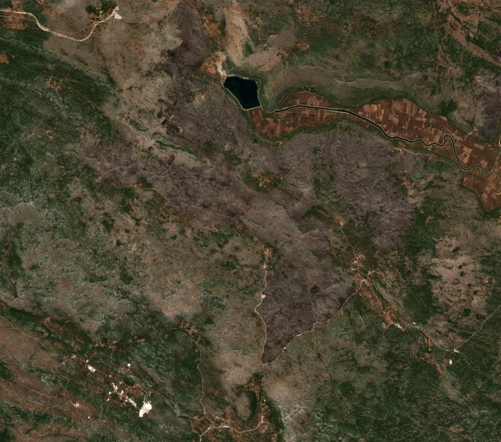 The area after the fire, August 12, 2021