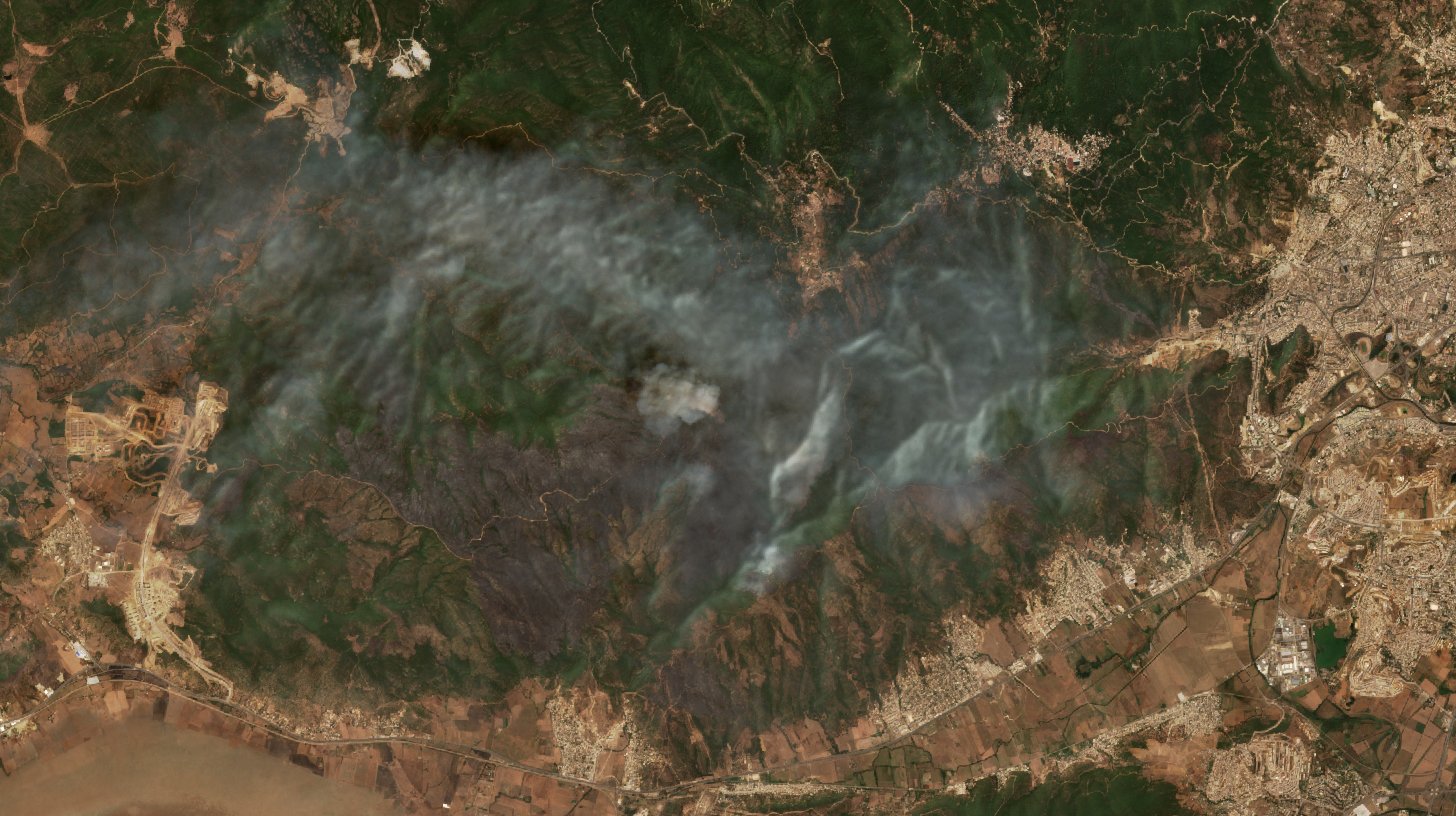 The burned area in 2017-ben