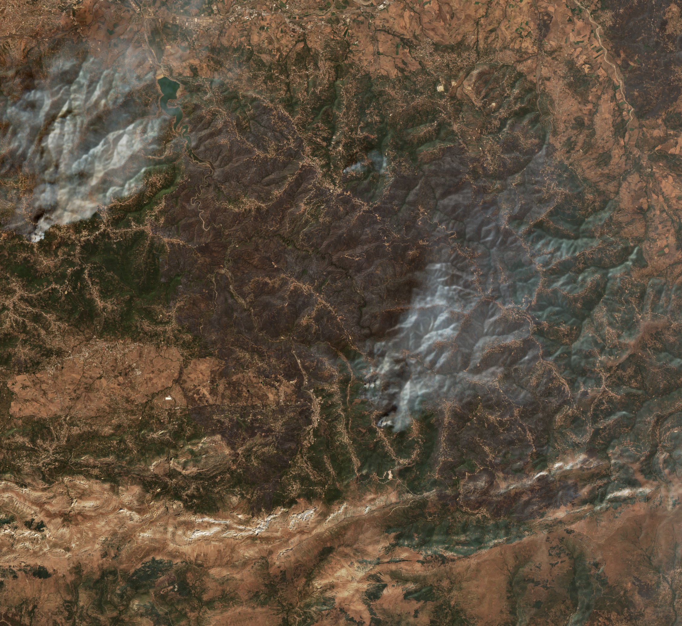 The burned area in 2021-ben