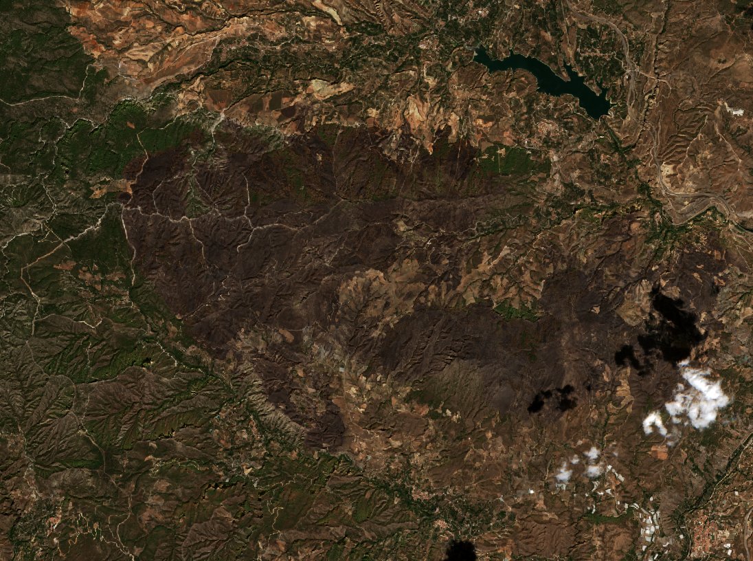 The burned area in 2022-ben