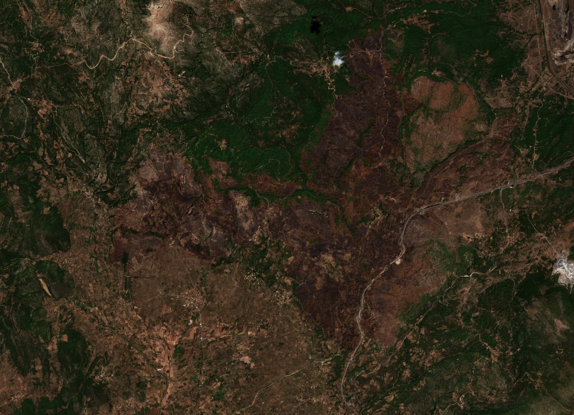 The burned area in 2021-ben