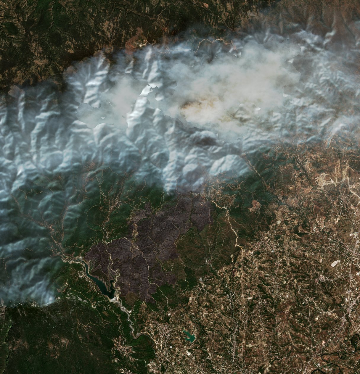 The burned area in 2020-ben