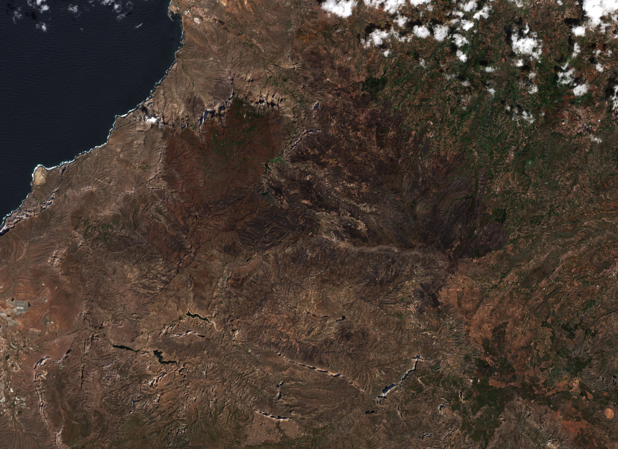 The burned area in 2019-ben