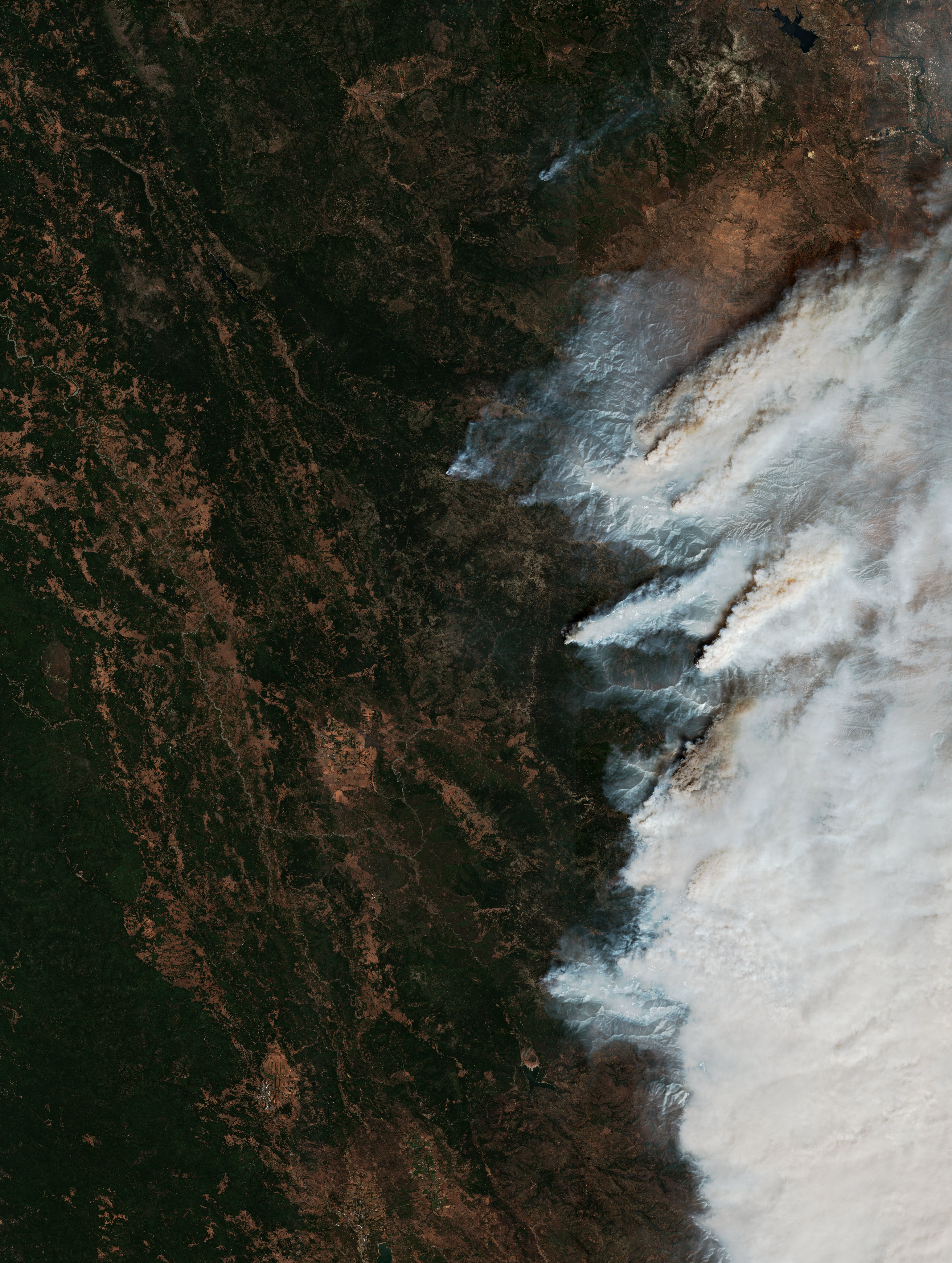The burned area in 2020-ben