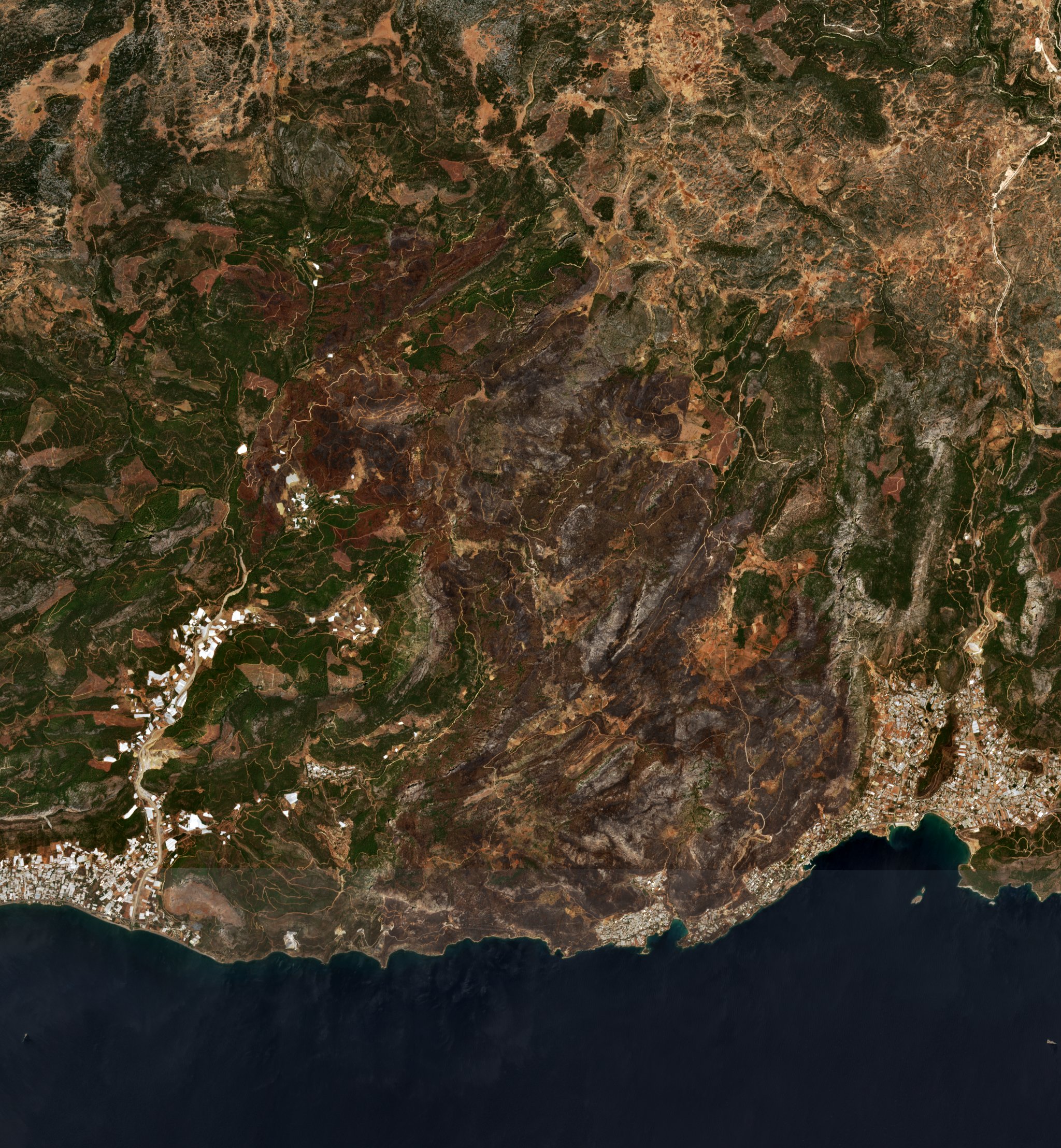 The burned area in 2021-ben