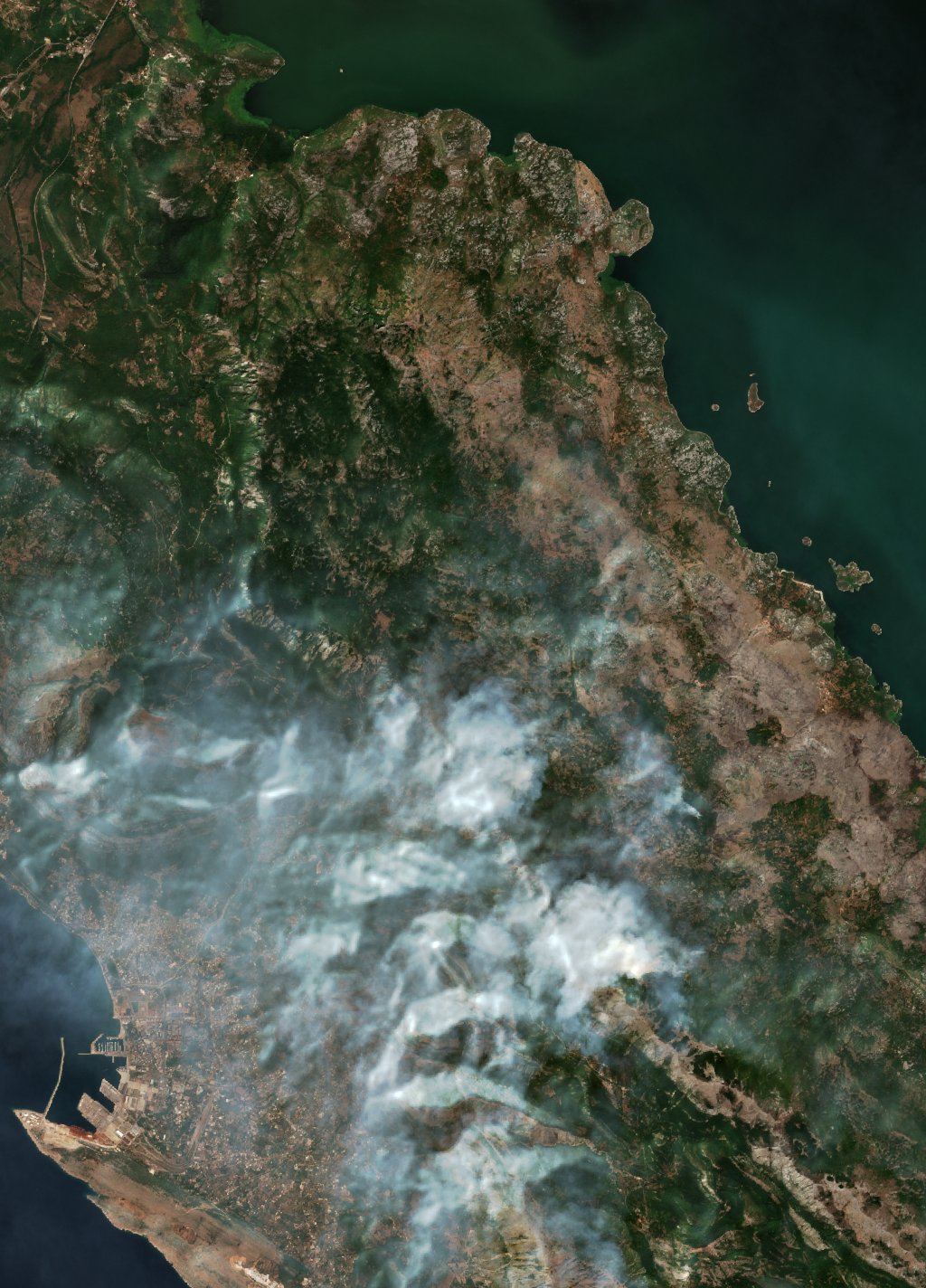 The burned area in 2017-ben