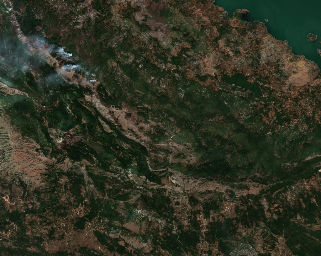 The burned area in 2017-ben
