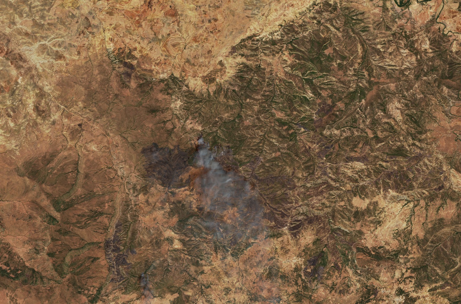 The burned area in 2020-ben