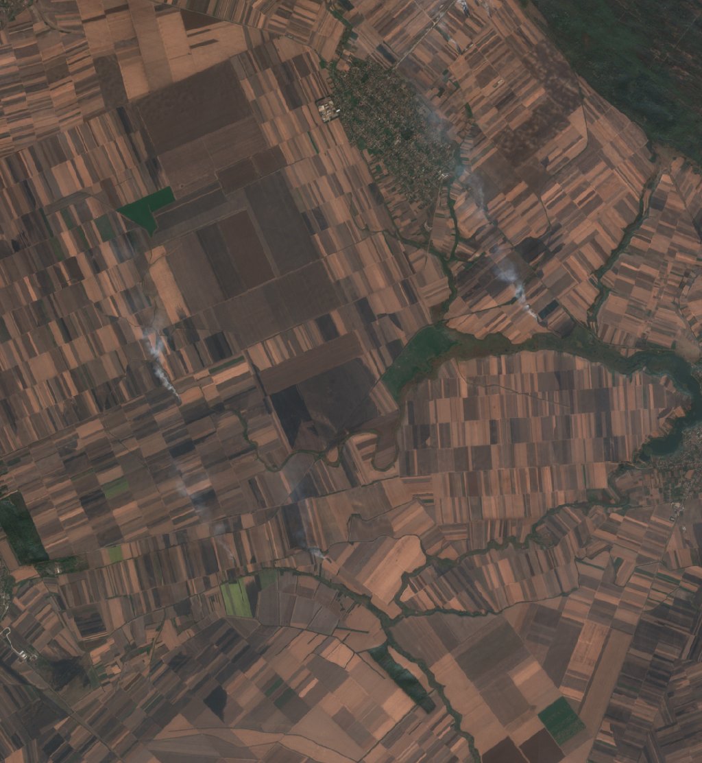 The burned area in 2019-ben